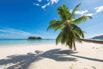 Velvet curtains Tropical beach Tropical beach with palm tree