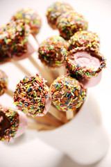 Marshmallows and cake pops with colorful sugar for the Christmas party. close up sweet and candy with clear background