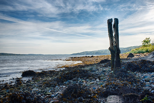 Veije Fjord Coastline