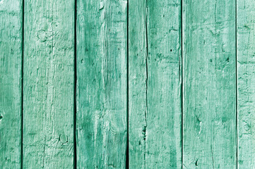 Grüne Holz Bretterwand als Hintergrund / Copyspace / Textfreiraum