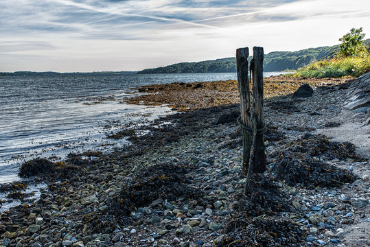 Veije Fjord Coastline