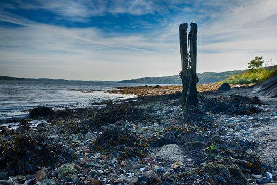 Veije Fjord Coastline
