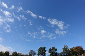 Obraz premium 秋の空