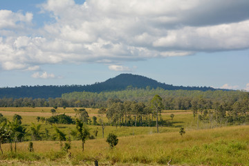 Sawanna Field in Thailand © aee_werawan