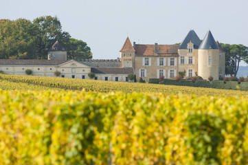 Vineyard and Chateau d'Yquem, Sauternes Region