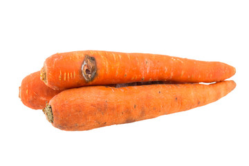 Rotten carrot isolated on white background