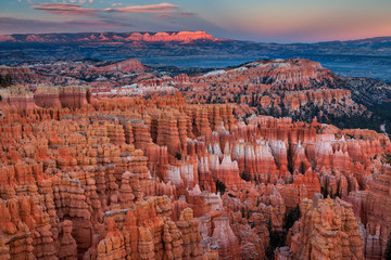 Scenic view of stunning red sandstone in Bryce Canyon National P
