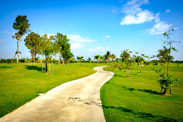 cart path in garden clear sky and coconut tree background