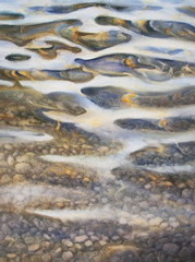 ripples stones watercolor