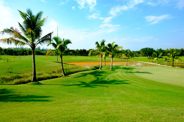 Obraz premium beautiful green fairway glof course clear sky background