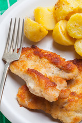 Fried chicken breast fillet on a white plate.