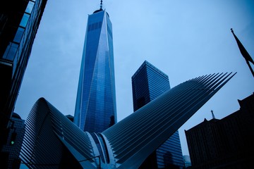 One WTC - obrazy, fototapety, plakaty