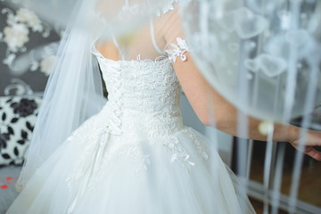 Fototapeta na wymiar Bride in Dress and Veil at Home