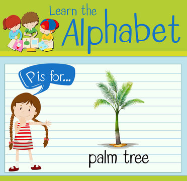 Flashcard letter P is for palm tree