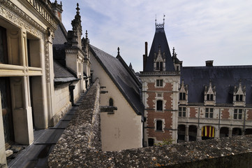 Fototapeta na wymiar Royal Chateau of Amboise