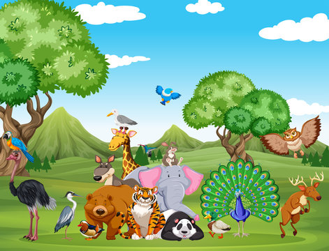 Forest scene with many wild animals