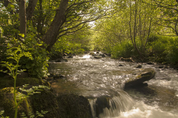 Fototapeta premium Rzeka Heddon Valley