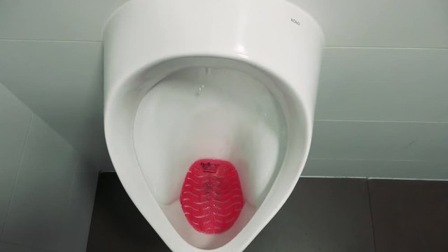 White urinal which flushes on public toilets