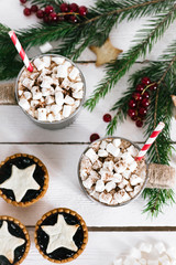Hot cacao cup with melting marshmallow, cookies and red berries