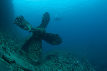 Fototapeta na wymiar sunken ship wreck underwater diving Sudan Red Sea