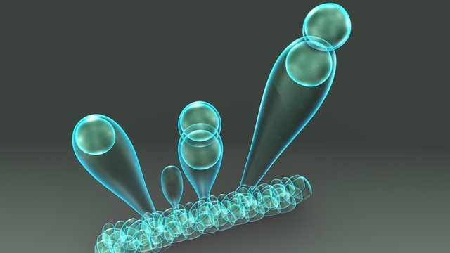 Exospores