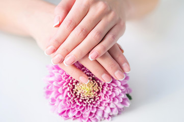 Woman hands with beautiful French manicure holding delicate pink flower