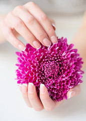 Fototapeta premium Woman hands with beautiful French manicure holding delicate pink flower