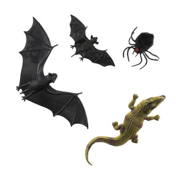 bats, spider, crocodile