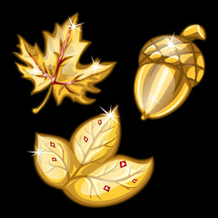 Two leaf and acorn made of gold. Vector set © Lady-Luck