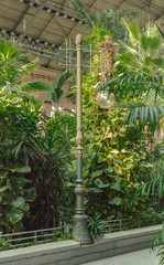 Greenhouse at Atocha railway station in Madrid, Spain