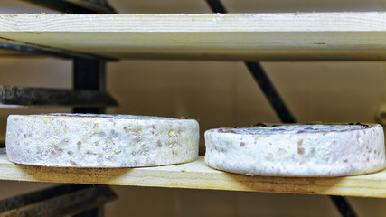 Aging Cheese at maturing cellar Franche creamery