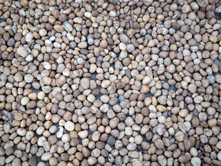 Small stone on the floor for background or texture