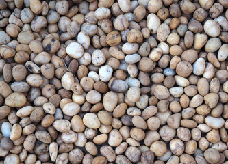 Small stone on the floor for background or texture