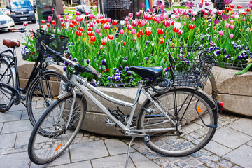 Fototapeta na wymiar Bicycles and street flowerbed with blooming flowers in Munich Germany