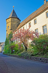 Fototapeta na wymiar Castle in Linz am Rhein in Germany