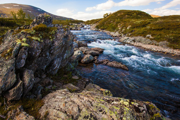 Naklejka na ściany i meble landscape Norway mountains Dovrefjell river