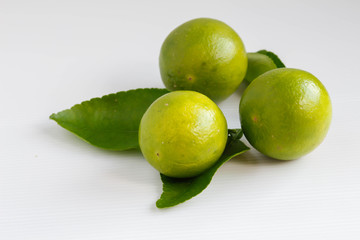 Lime citrus fruit on white background