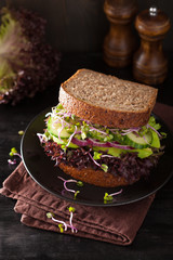 avocado cucumber sandwich with onion and radish sprouts