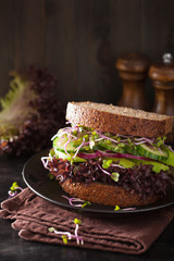 avocado cucumber sandwich with onion and radish sprouts