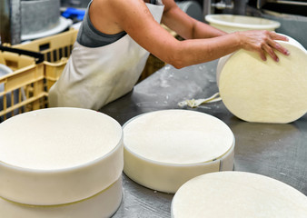 Cheese maker putting young Gruyere Comte Cheese into forms in dairy