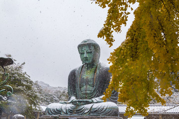 The Great Buddha in Kamakura.It's snowing.The foreground is a ginkgo tree.Located in Kamakura, Kanagawa Prefecture Japan.