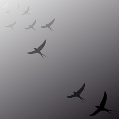 birds flying away into the distance