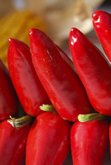 Red chilli peppers, Espelette, Pays Basque, France