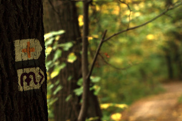 Hike sign