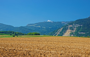 Field in Yverdon at Jura Nord Vaudois Vaud Switzerland