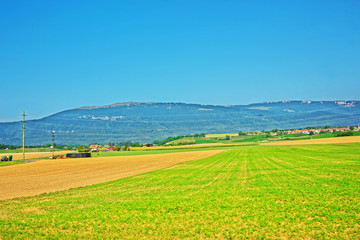 Field in Yverdon les Bains Jura Nord Vaudois Vaud Swiss