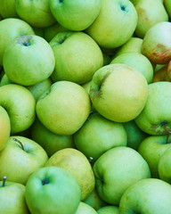 Fototapeta na wymiar Green apple background