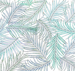 leaf of palm tree background