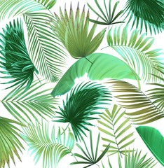 mix palm leaf tree background