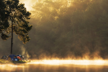 Fototapeta premium Camping and tent under the pine forest in sunset at Pang-ung, pine forest park , Mae Hong Son, North of Thailand